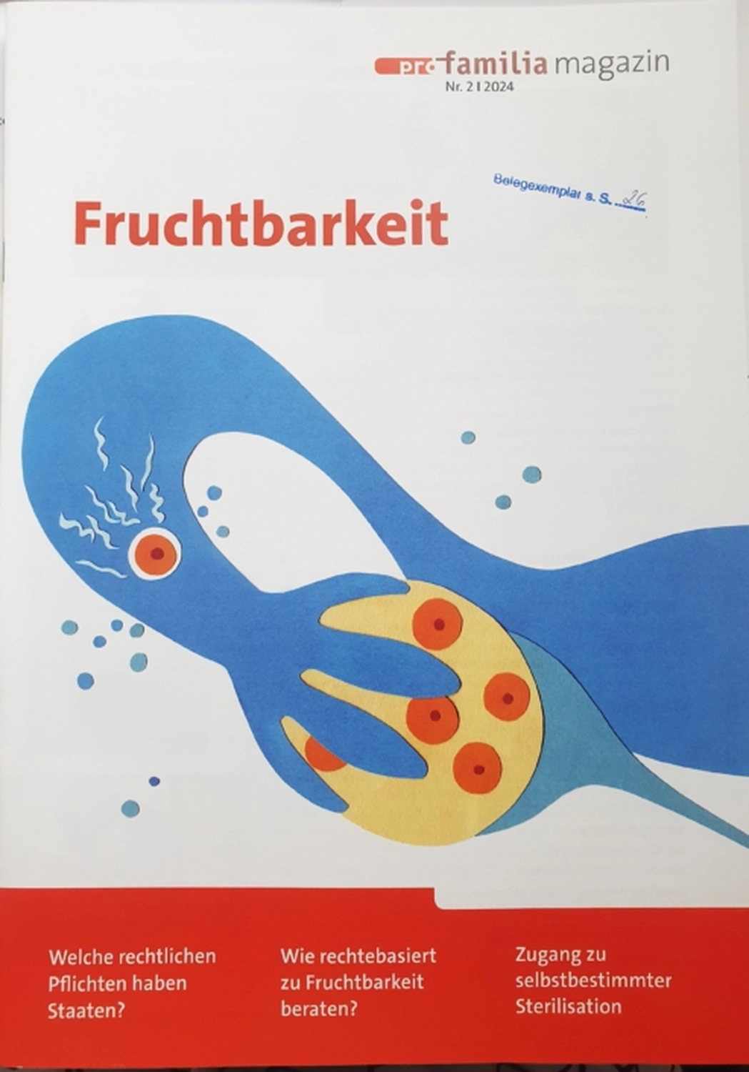 Hebamme Trauma-Fachberaterin - Coaching, Beratung, Kurse und Lesungen - Buch