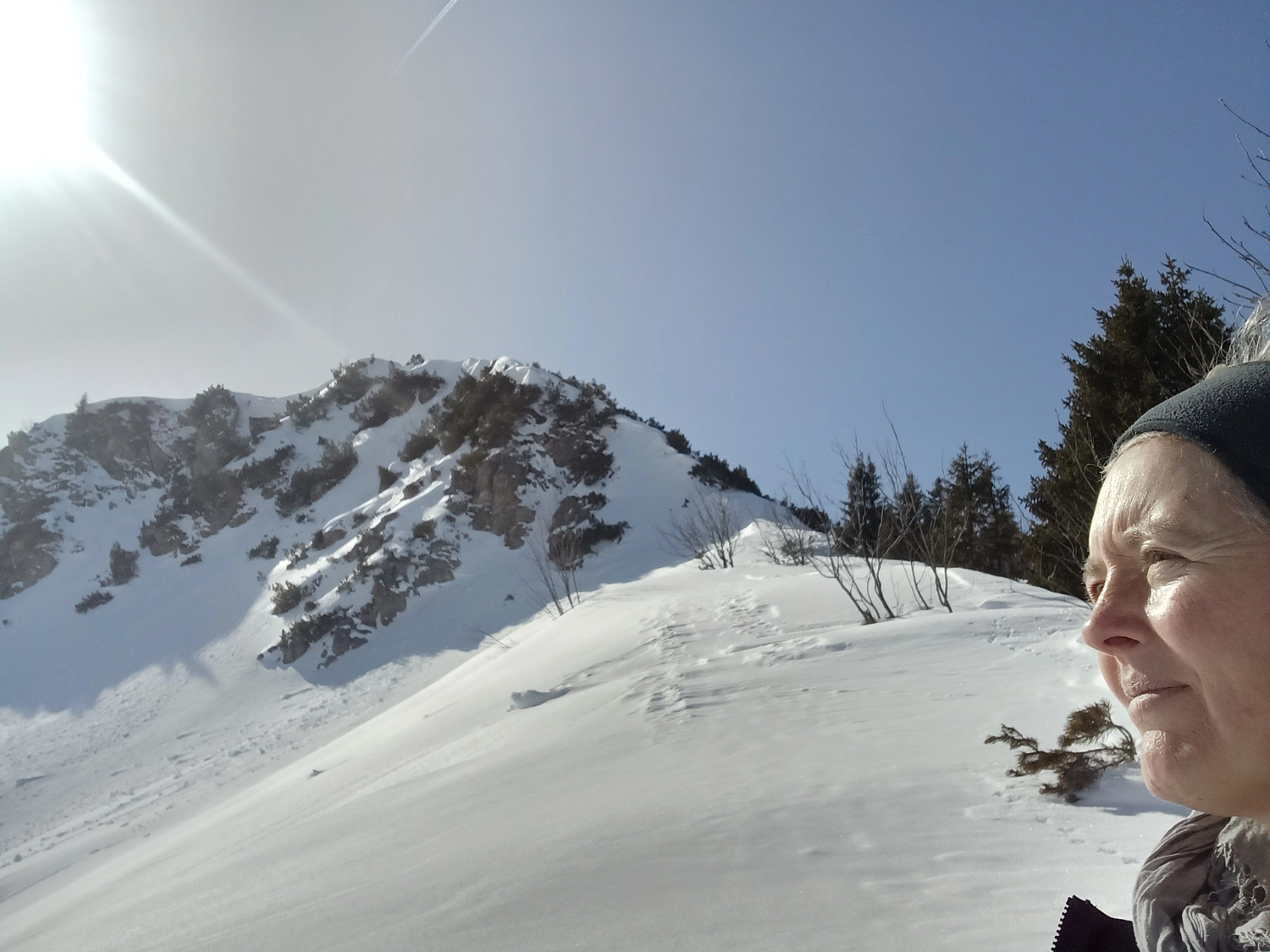 Hebamme Trauma-Fachberaterin - Coaching, Beratung, Kurse und Lesungen - Ulrike Michel in den verschneiten Bergen