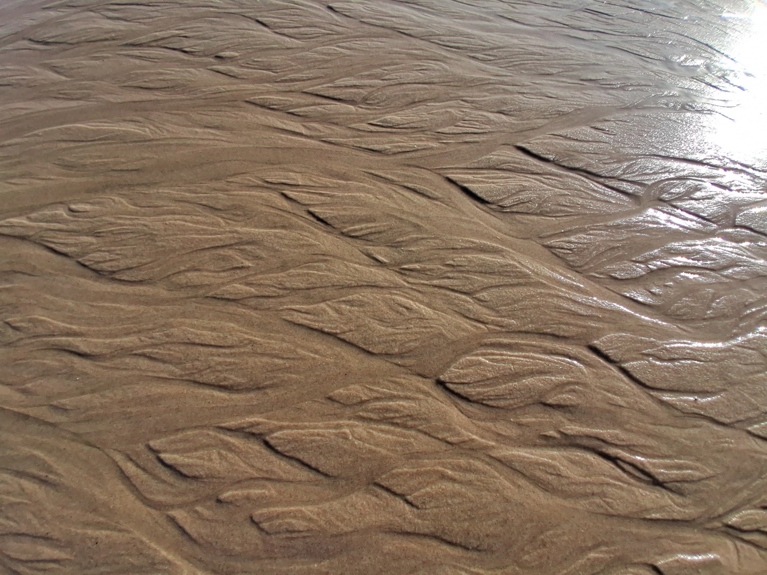 Hebamme Trauma-Fachberaterin - Coaching, Beratung, Kurse und Lesungen - Eine Nahaufnahme aus der Vogelperspektive zeigt nassen Sand an einem Strand mit filigranen, astähnlichen Mustern und Graten, die vom zurückweichenden Wasser geformt wurden.