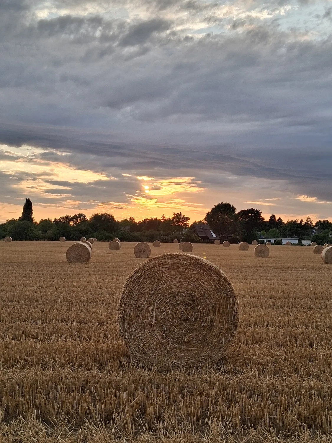 Hebamme Trauma-Fachberaterin - Coaching, Beratung, Kurse und Lesungen - Ein goldener Sonnenuntergang taucht ein abgeerntetes Feld in warmes Licht, auf dem sich unter einem dramatischen, bewölkten Himmel zahlreiche große, runde Heuballen bis zum Horizont erstrecken.