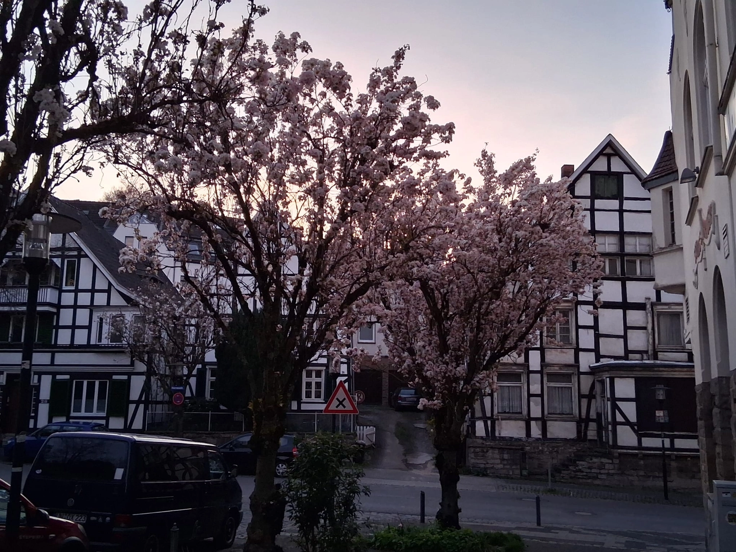 Hebamme Trauma-Fachberaterin - Coaching, Beratung, Kurse und Lesungen - Kirschblüten in voller rosa Blüte säumen eine Straße mit traditionellen Fachwerkhäusern unter einem sanften Abendhimmel.
